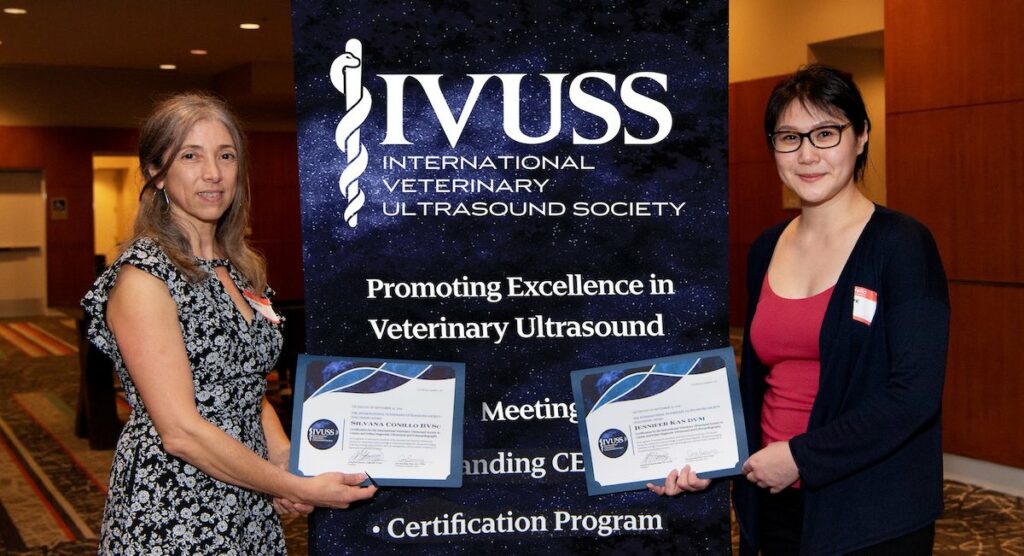 veterinary ultrasound certification program